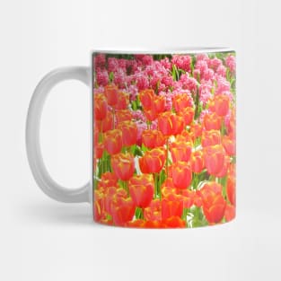 Mixed Tulips, Keukenhof Tulip Festival, Holland Mug